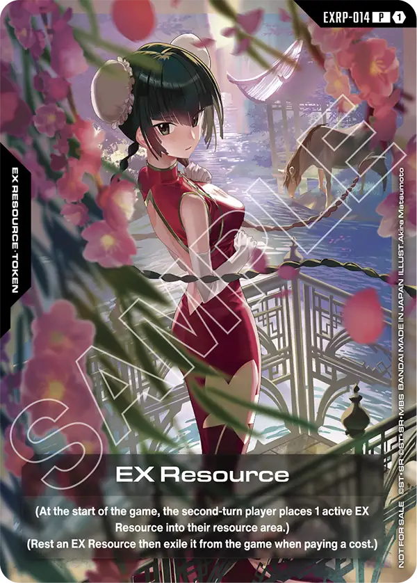 EX Resource