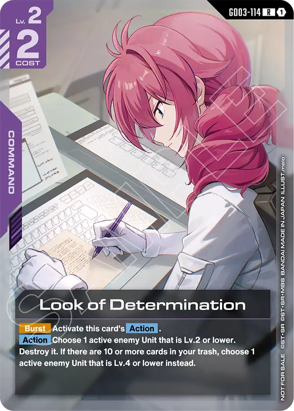 Look of Determination