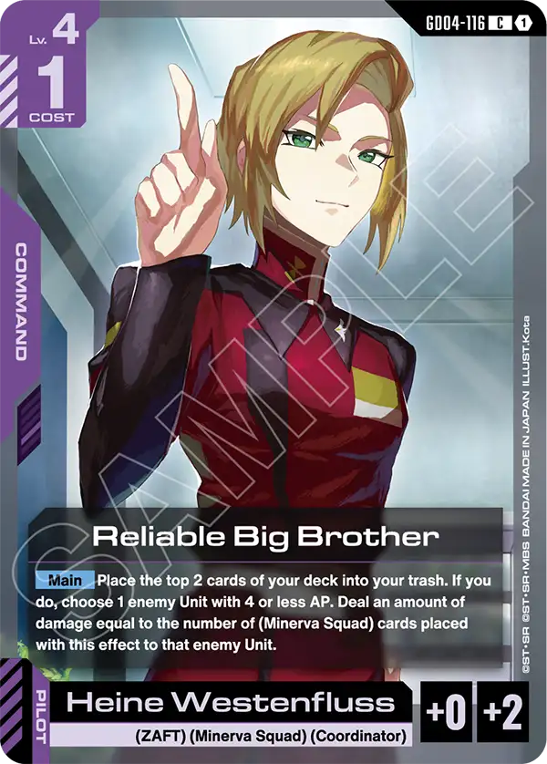 Reliable Big Brother