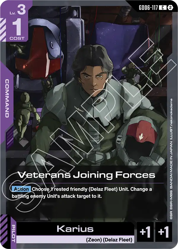 Veterans Joining Forces
