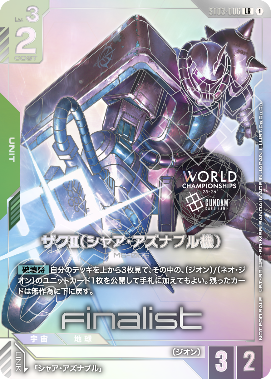 参加記念品(Finalist)