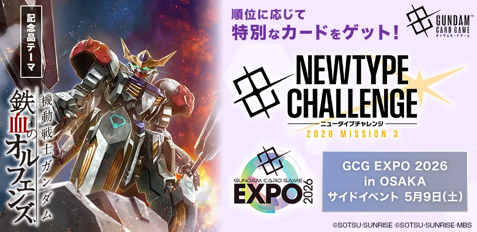 フリーダムガンダム ニュータイプチャレンジ ニュータイプチャレンジ 