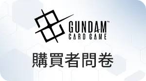 PURCHASER QUESTIONNAIRE